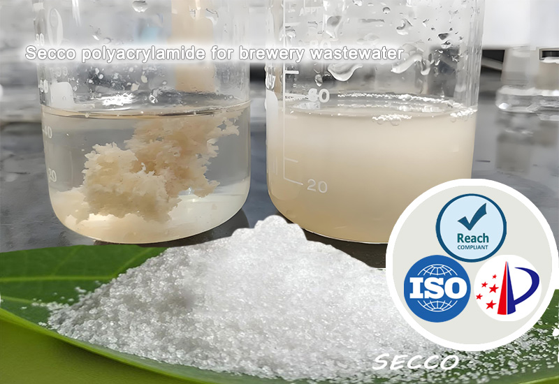 Selection and Effectiveness of Polyacrylamide (PAM) in Brewery Wastewater Treatment